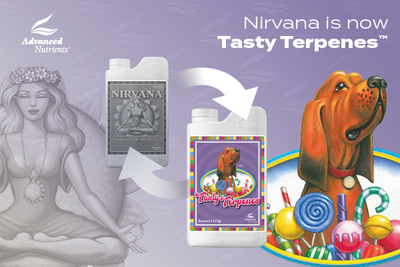 Tasty Terpenes 旧Nirvana