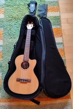 Ukulele KALA KA-STGE-C mit Gigbag von MSA - n...