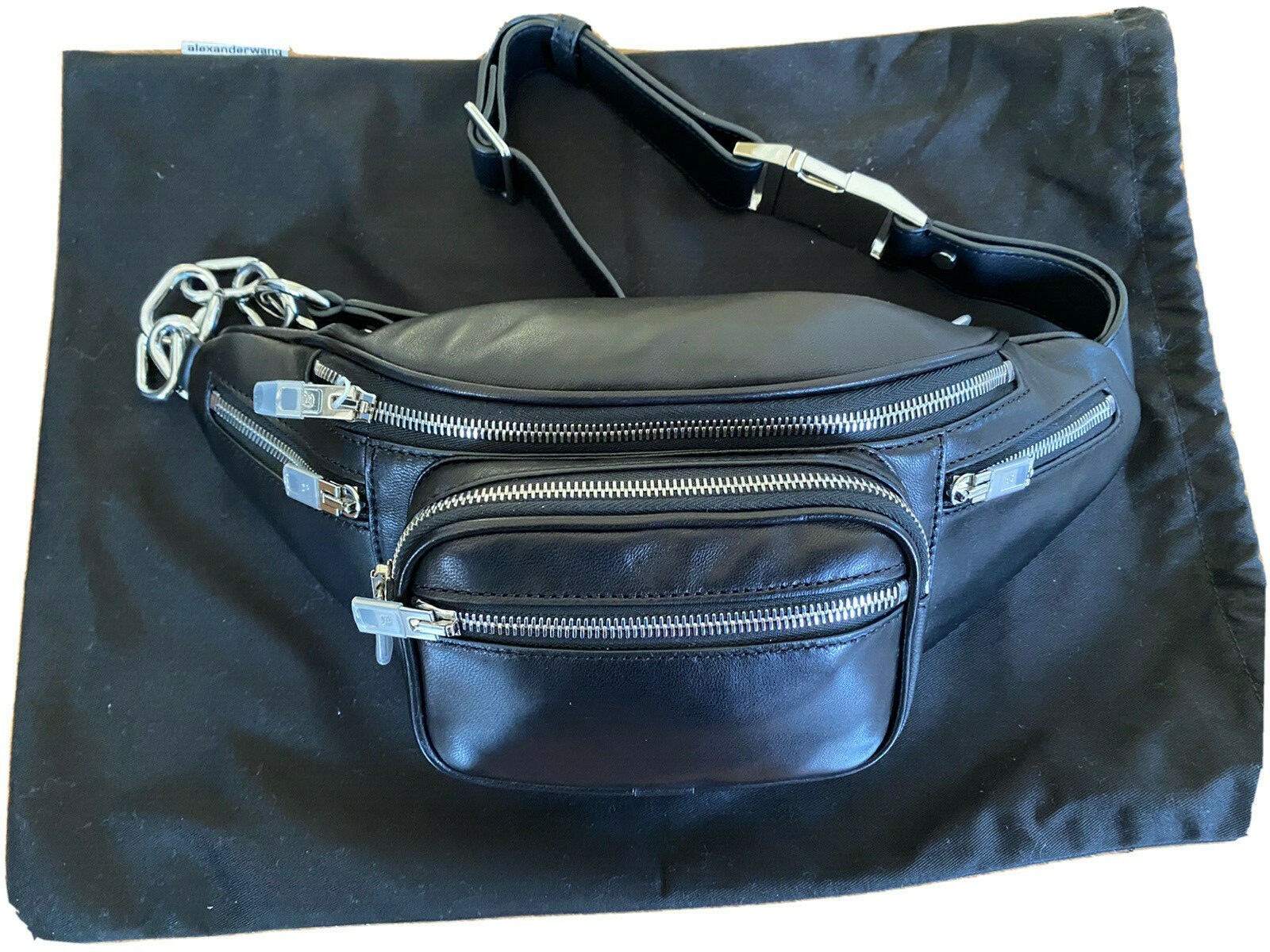 alexander wang fanny