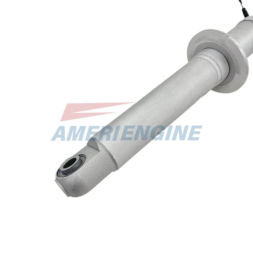 2PCS For Maserati GranTurismo Rear Left+Right Shock Absorbers 286946 2013-2018