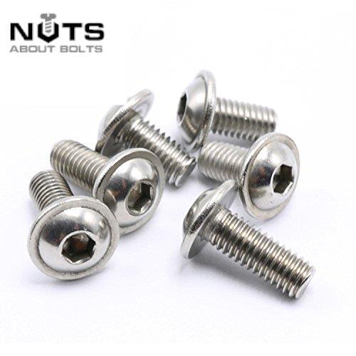 M6 x 45 mm BOTTONE FLANGIATO VITE A CUPOLA TESTA BULLONI A2 ACCIAIO INOX - Foto 2 di 3