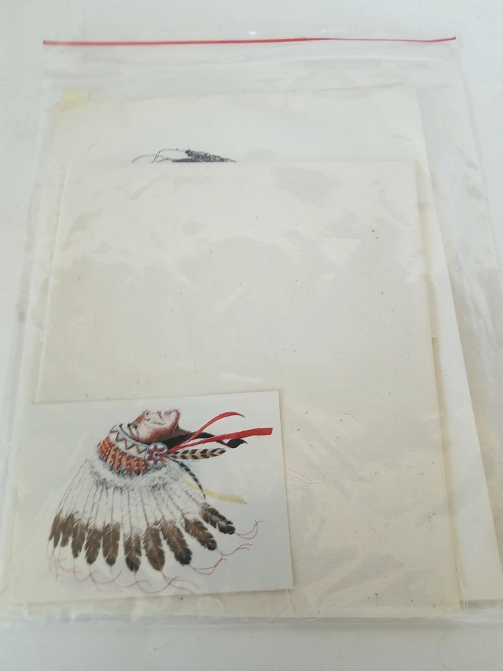 Instrucciones de bordado de cabeza india Foto 2 de 4