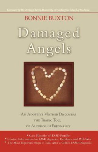 Damaged Angels: An Adoptive Mothers Struggle to Understand the Tragic Toll of Al