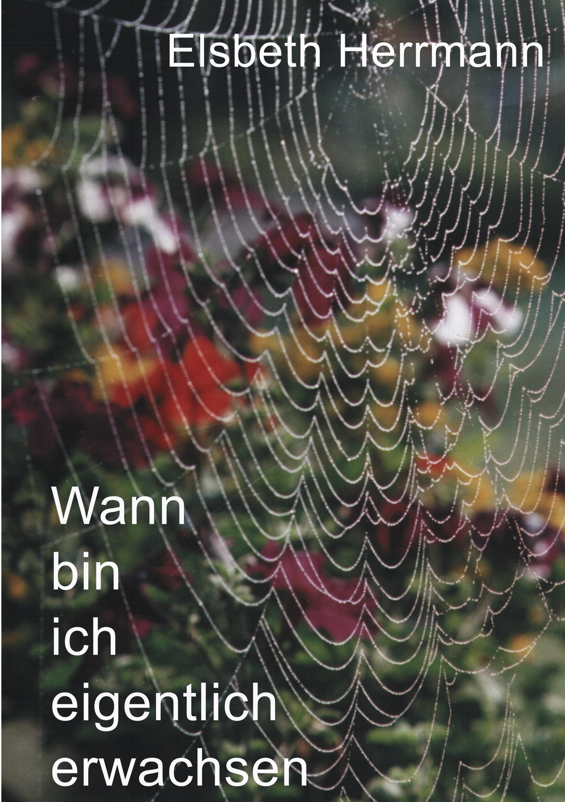 Thumbnail - Elsbeth Herrmann / Wann Ich Eigentlich Erwachsen9783831111381