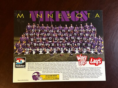 1993 MINNESOTA VIKINGS 8X10 TEAM PHOTO PICTURE NFL FOOTBALL