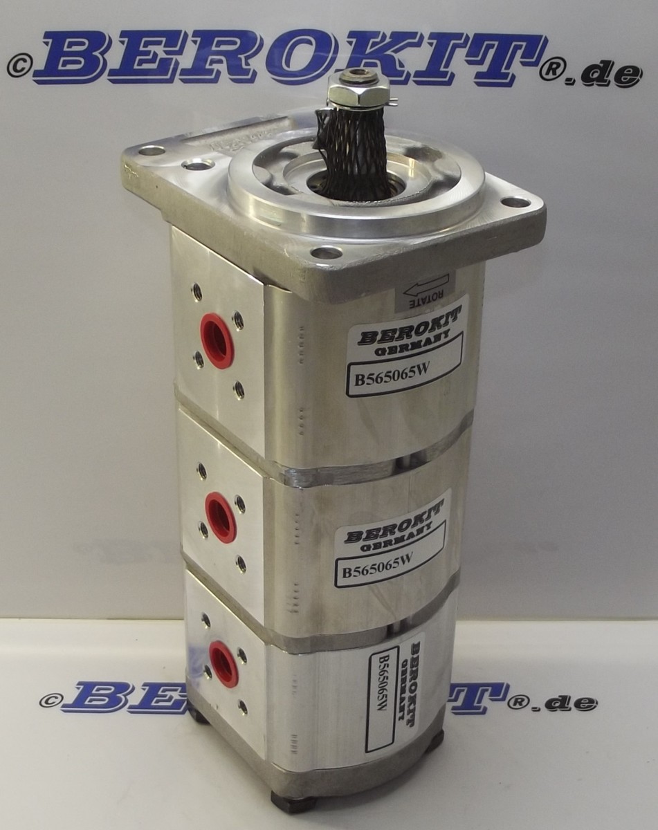 Hydraulikpumpe für Terex TC16 O&K Liebherr Schaeff W9A308-08-5.5R  