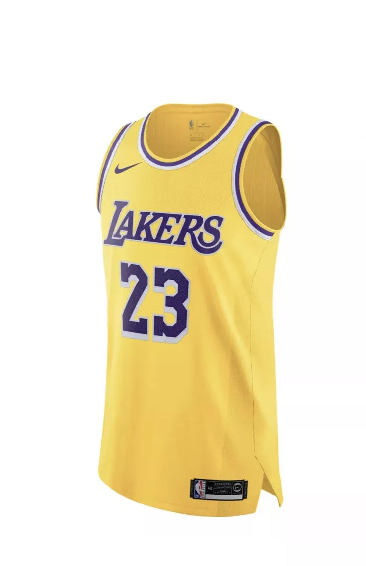 Nike LeBron James Lakers Jersey Icon Stitched AA7265-735 Mens Size