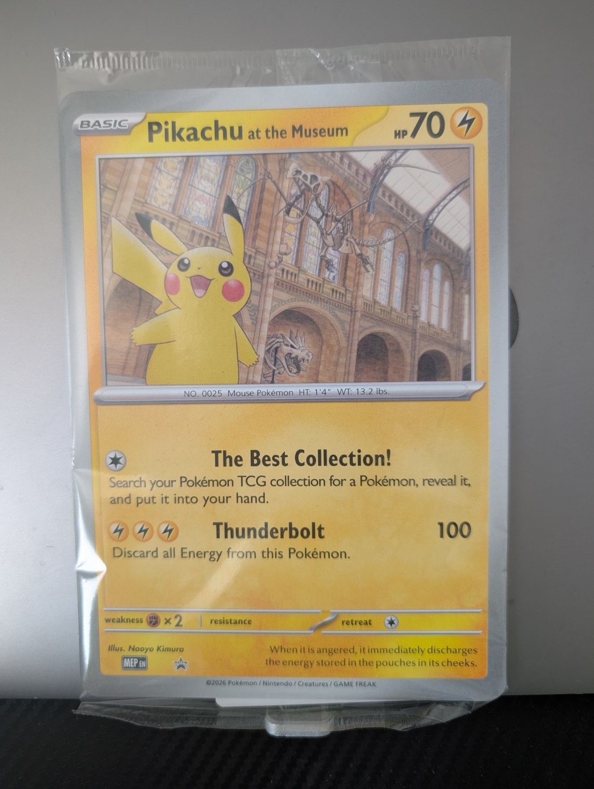 Pikachu at the Museum Promo - Sealed - Pokemon x NHM