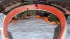 Bild 4 von 5
