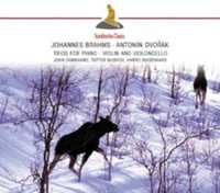 Brahms Dvorak - Trios For Piano Violin - Cd - G3Z