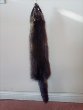Rare Eastern Raccoon Pelt mostly Black in color , tanned