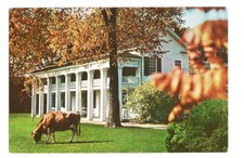 Dearborn MI Postcard The Clinton INN Greenfield Village Cow