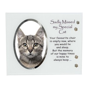 Details About David Fischhoff Glass Photo Frame With Wording Pet Memorial Memory Special Cat