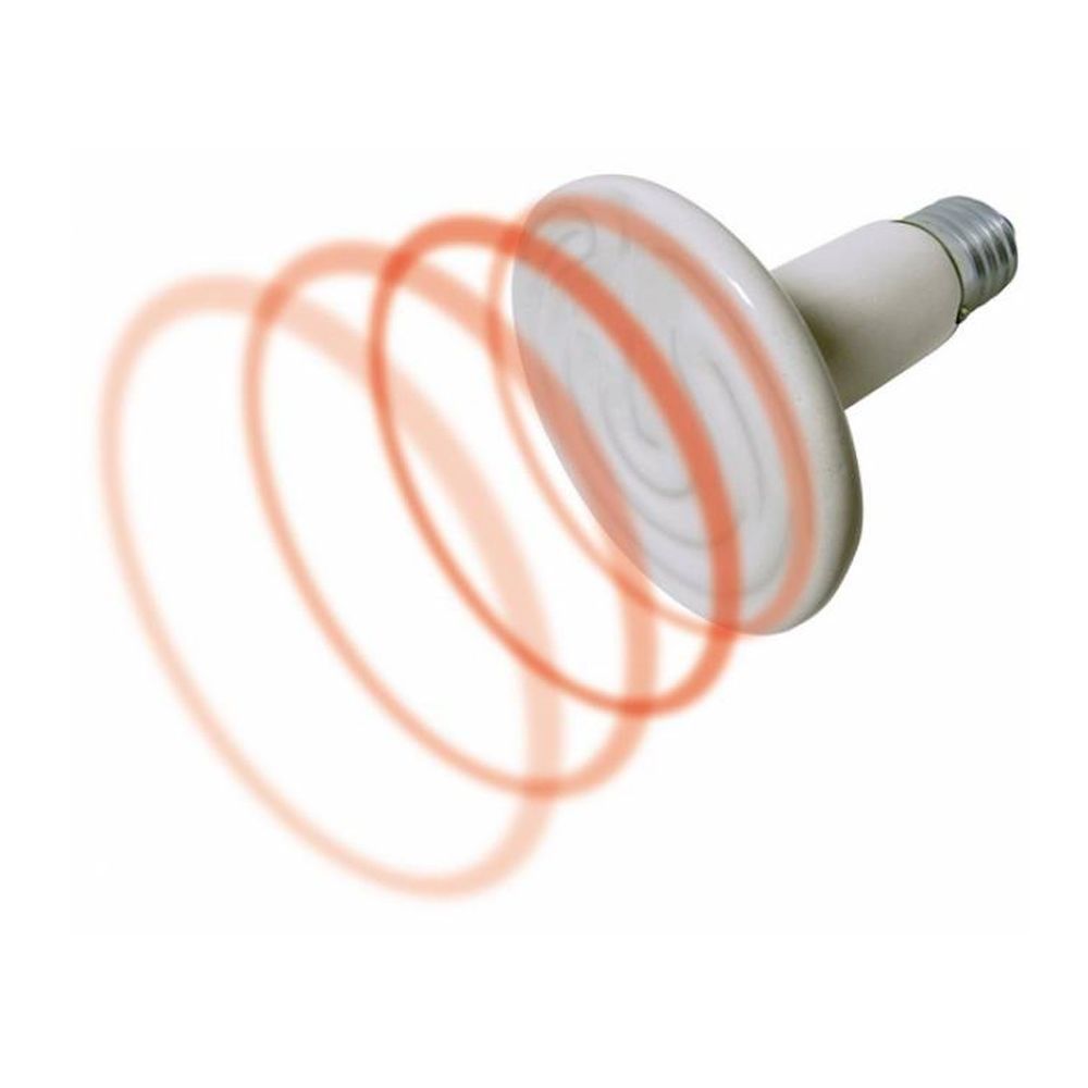 LAMPADA RETTILI CERAMICA 100 WATT