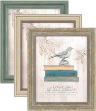 XUANLUO 3 Pack 8x10 Inch Picture Frames Farmhouse 8 x 10 inch, Mix Color-3pcs