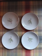 Johann Haviland Bavaria Germany "Forever Spring" Butter Pat