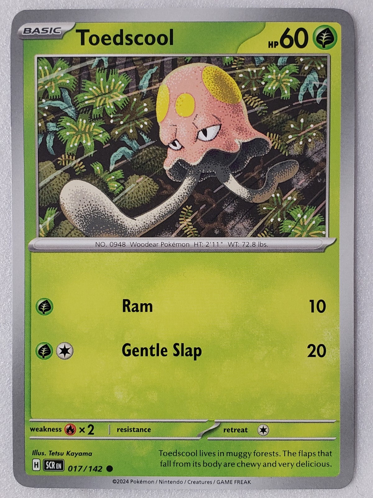 Toedscool 017/142 NM / M - Stellar Crown Pokemon Card - $2 Combined Shipping