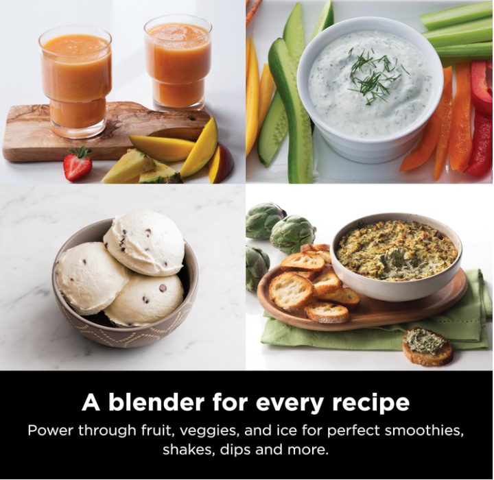 Ninja Professional Blender 1000 eBay