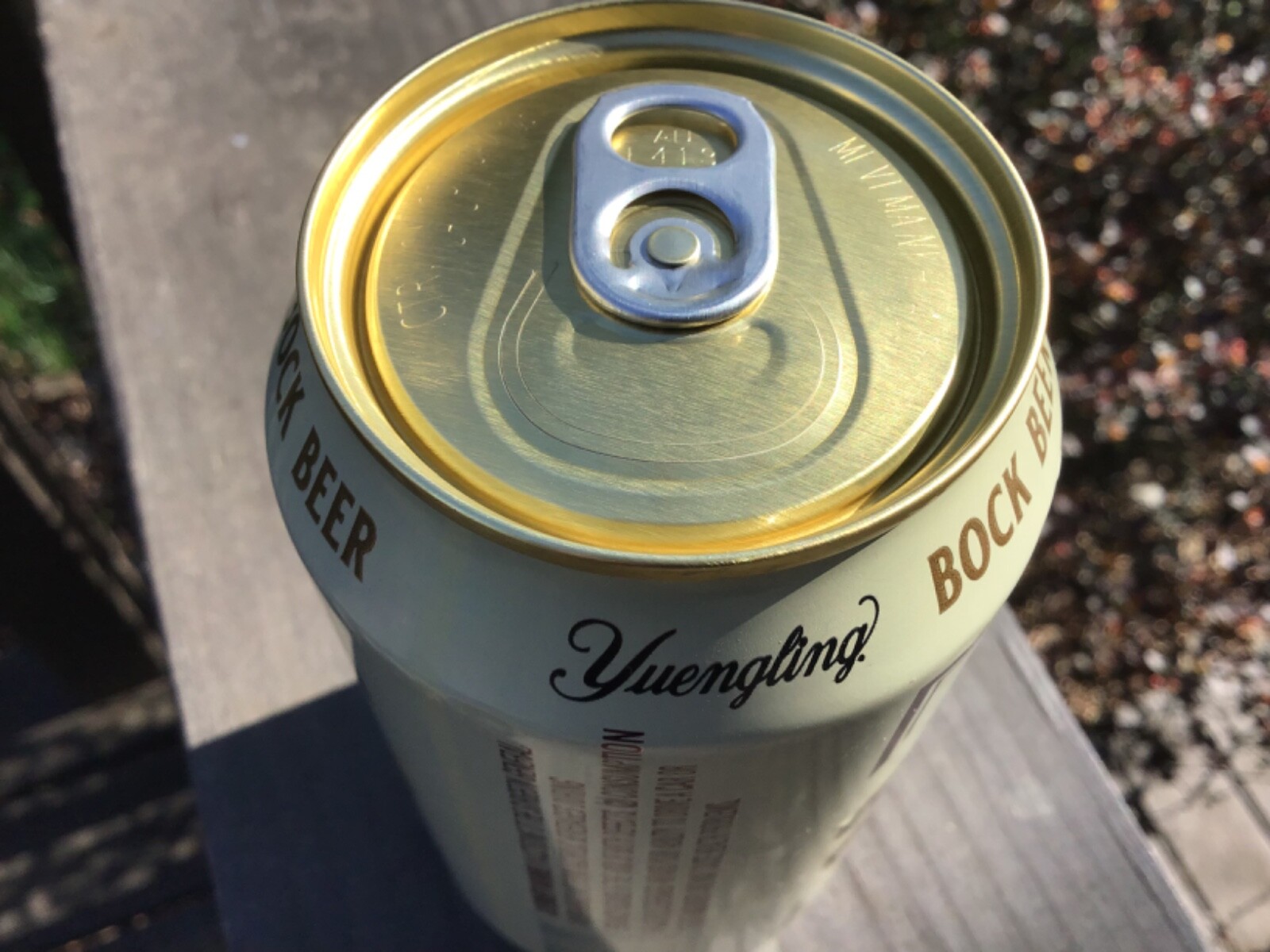 Yuengling Bock beer can