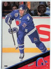 1993-94 Leaf #176 Steve Duchesne Quebec Nordiques