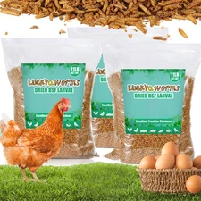 Dried BSF Larvae Mealworm for Chicken Bird Duck Natural Premium High Protein LOT