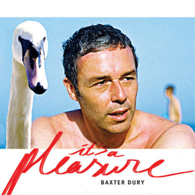 Baxter Dury It's a Pleasure (Vinyl) 12'' Album