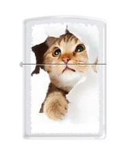 Zippo Lighter-Personalized Custom Message Engraved Kitty Cat Inside Hole #Z5564