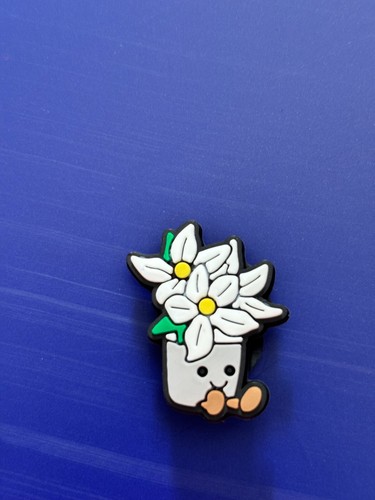 Croc Charm For Clog Pvc Variations Animals Food Flower Sport Symbols - Picture 48 of 57