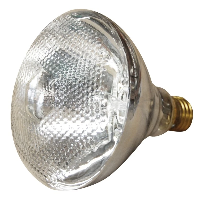 Nelson 150W Par38 Flood Globe 2 Pack