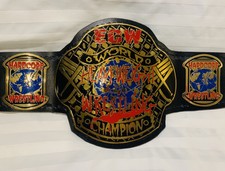 wwe world heavyweight championship watch