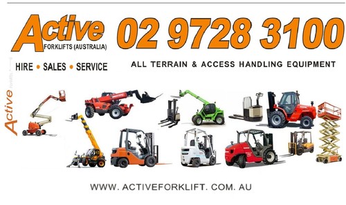 Telehandler Dieci 4WD All Terrain low Hrs 12 model Fitted w/h 360 degree rotator - Picture 9 of 11