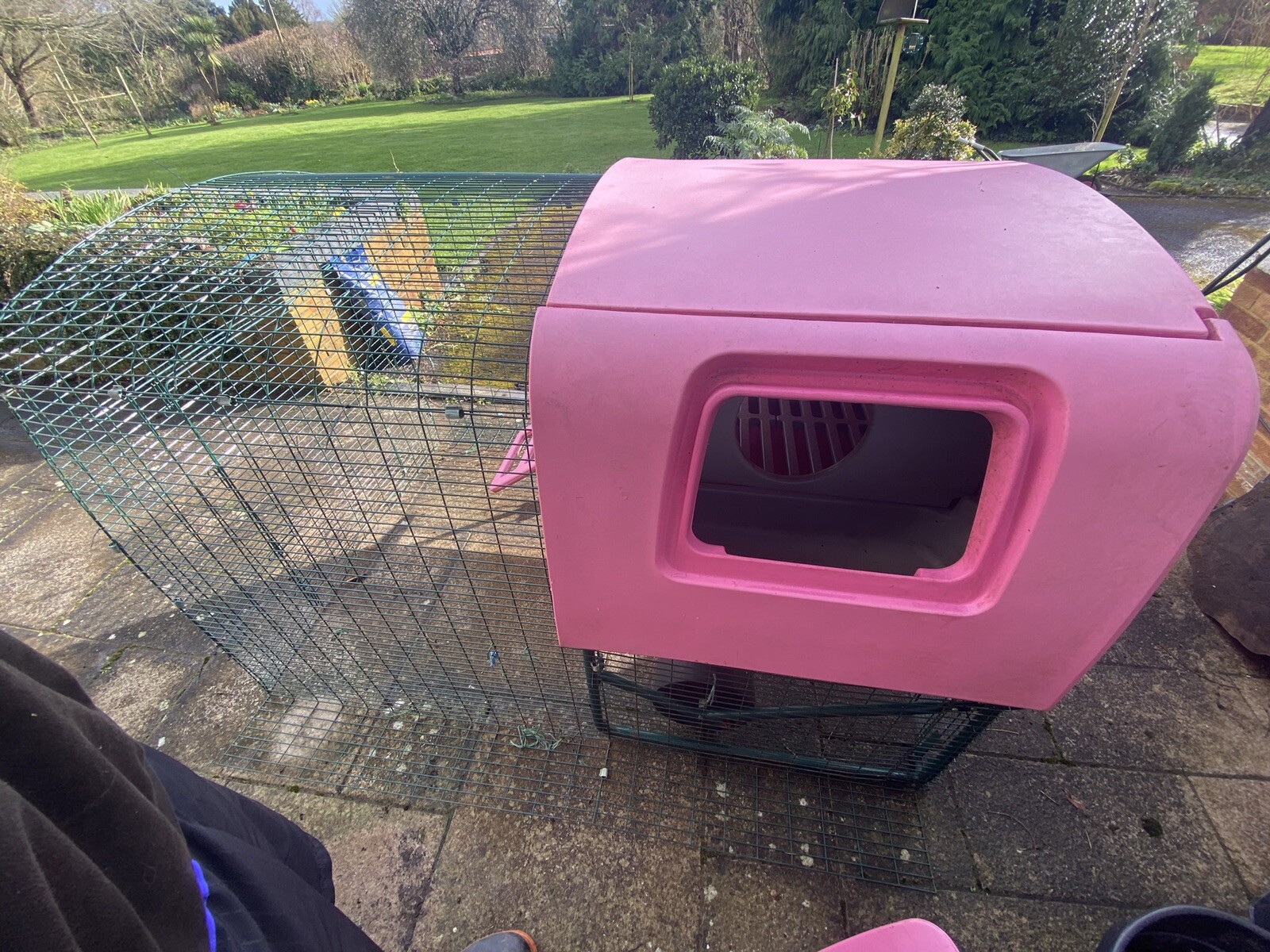 omlet eglu chicken coop eBay