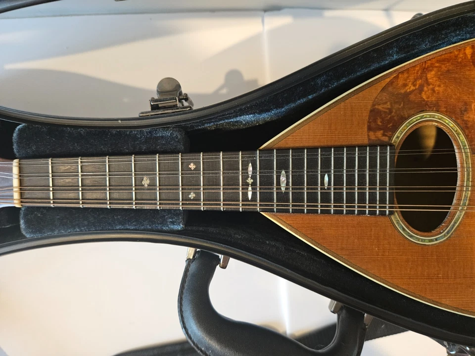 1919 C.F. Martin Style 2 Bowlback Mandolin 玻璃纤维盒 — 第 4/4 张图片