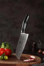 Xinzuo B32 Feng Japanese Style Santoku Knife 67 Layers Damascus Wickedly Sharp