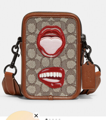 COACH×TOM WESSELMANN バック s-l400.jpg