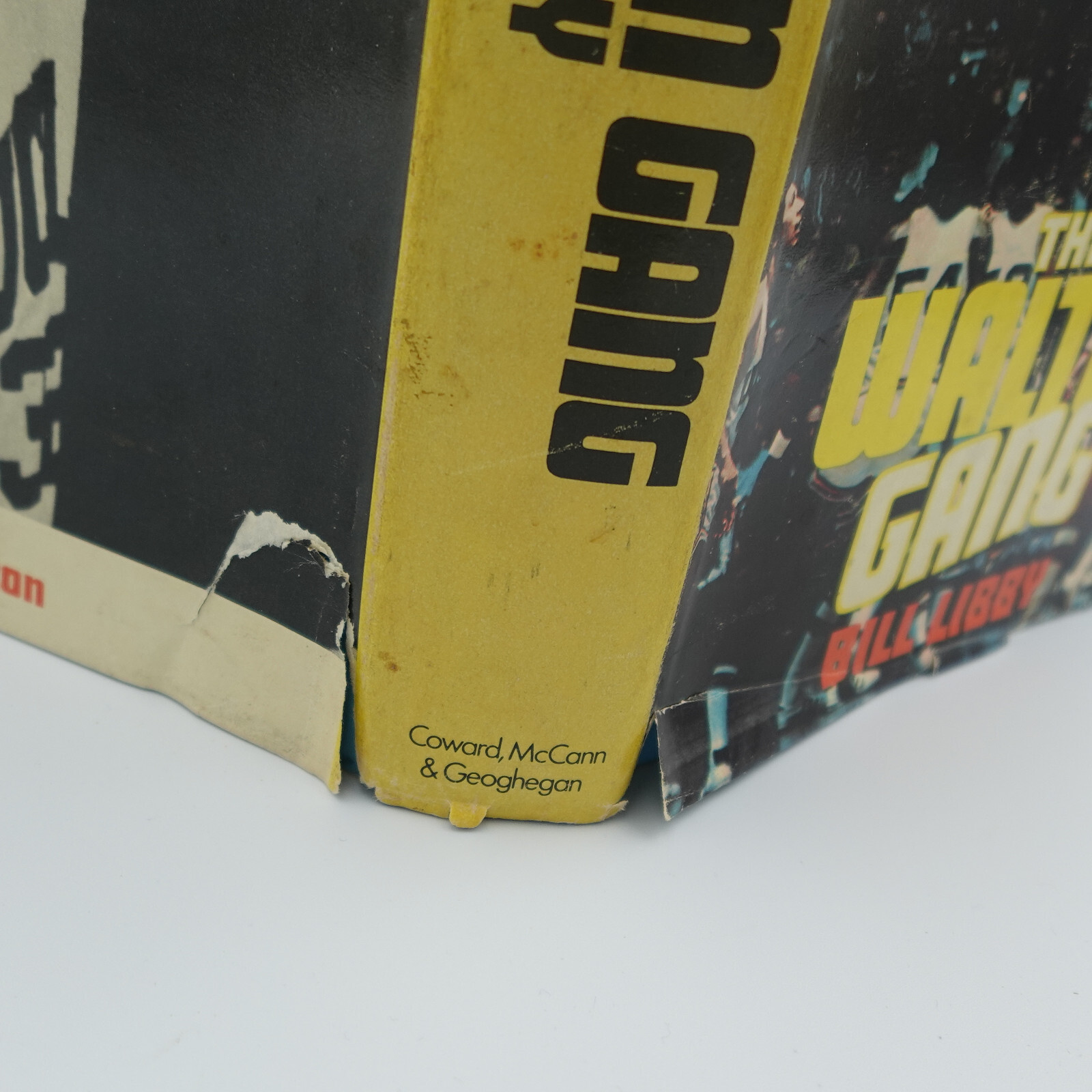 The Walton Gang  by Bill Libby  1974 Hardcover DJ Basketball UCLA College