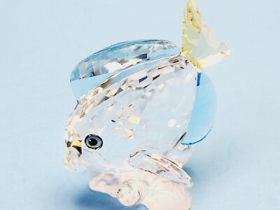 SWAROVSKI BLUE TANG FISH 886180 wonders of the sea accessory | eBay