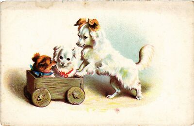 CPA AK Playing Dogs DOGS (1388154)