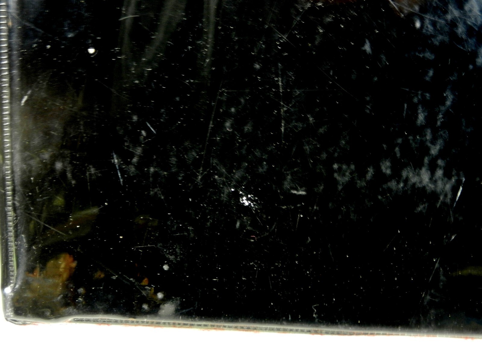 Picture 12 of 12
