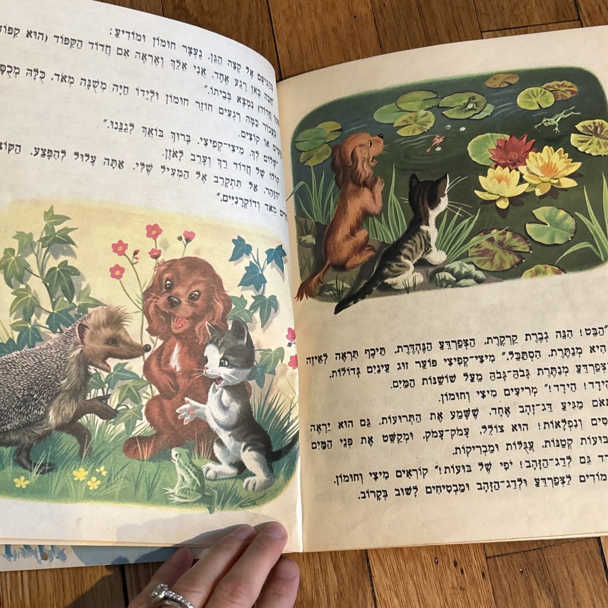 RARE HEBREW Children's Story Vintage HC Book 1960s מיצי RARE HEBREW Children's Story Vintage HC Book 1960s מיצי