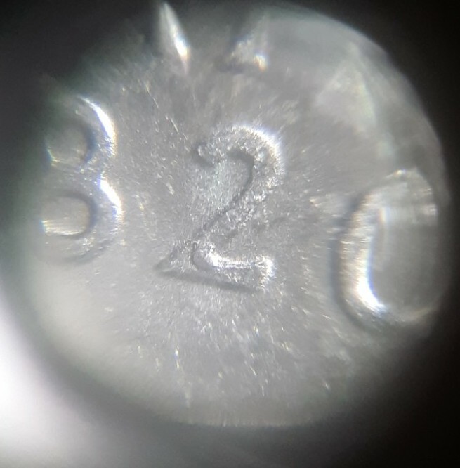 Scopri Il Pesce Ufficiale Dello Stato Del Maine - Foto 11