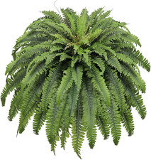 50" Fake Ferns Artificial Plants Large, 98 Fronds Artificial Ferns for Outdoors