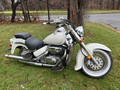 2001-2004 Suzuki Volusia vl Intruder C50 800 vl800 Front Forks