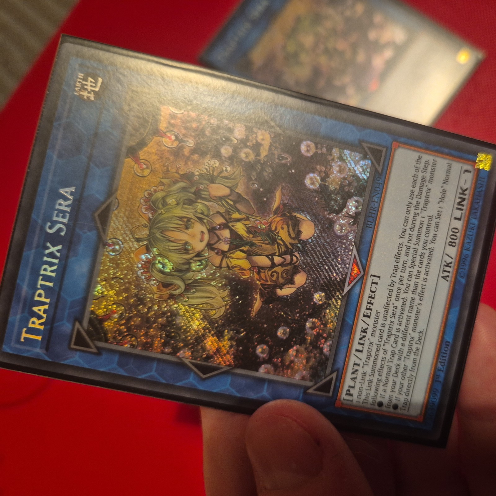 Traptrix Sera (BLHR-EN049) – Bild 3
