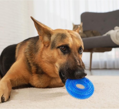 Andiker Squeaky Dog Toy, Safe TPR Chewable Toys for Teeth Small - Picture 7 of 7