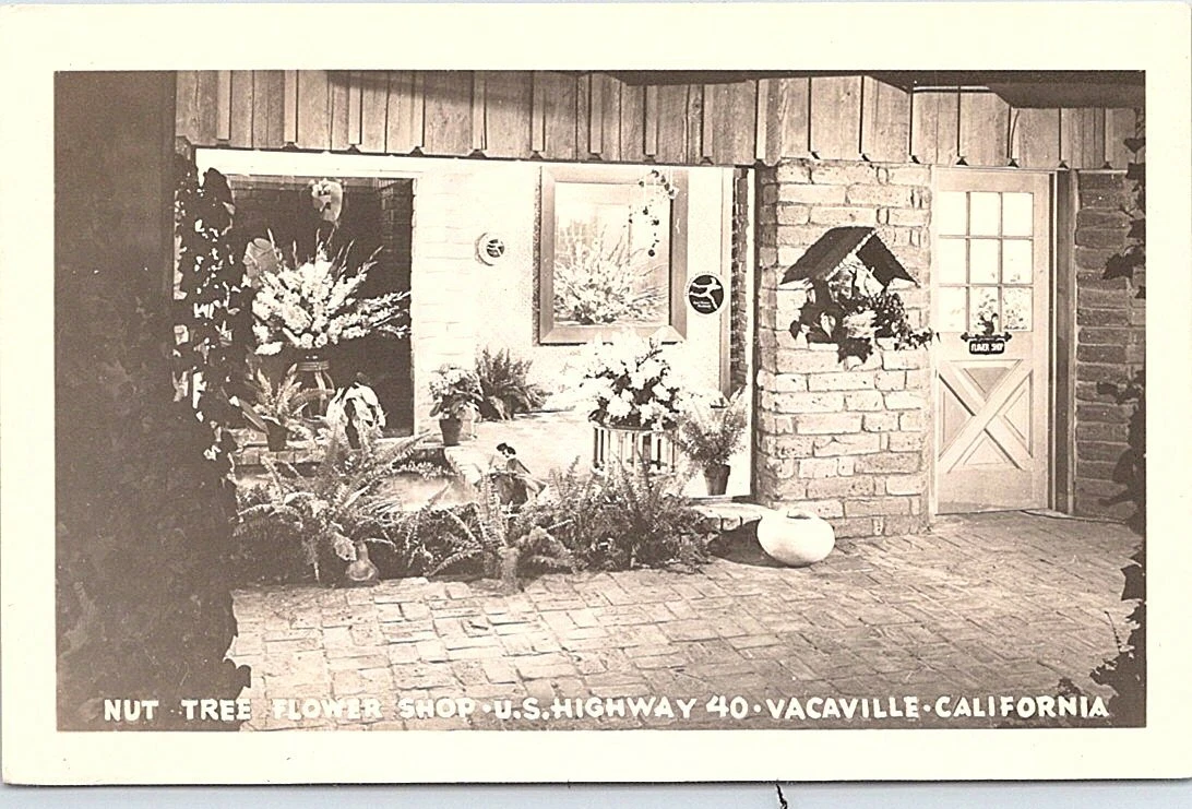 Flower Delivery Vacaville Ca Best Flower Site