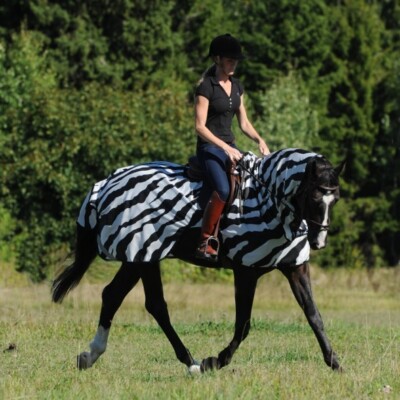 % Bucas Buzz-Off Riding Zebra Ausreitdecke Fliegendecke (UVP  112,00) -NH