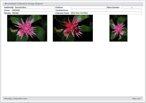New 2020 Version Bromeliad Collector Database Professional Software CDROM - Picture 10 of 12