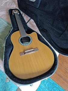 Ovation Celebrity Guitar Case | eBay