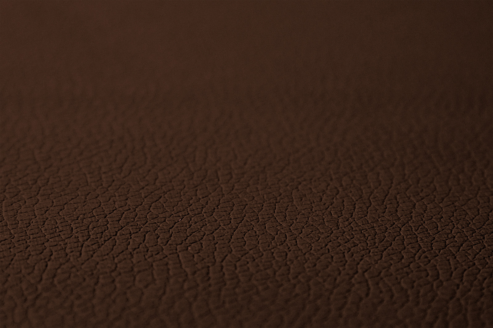 CAMION Housses de siege pour DAF XG+ XG XF NG 10.21- Mêmes sièges MARRON - Picture 5 of 6